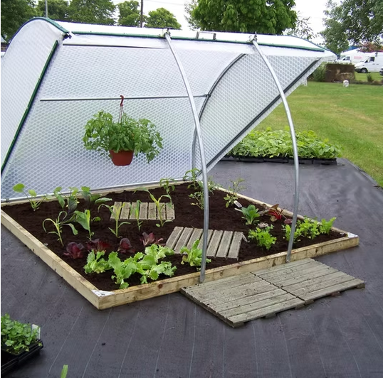 Coldframe